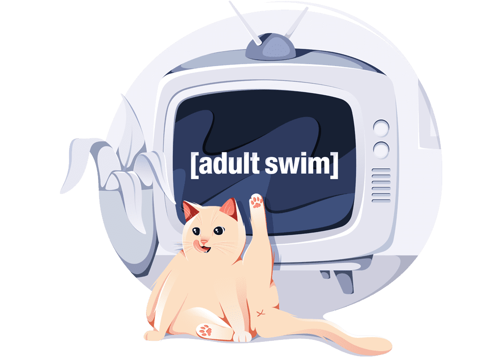Adult Swim in Nederland streamen met VPN Nederland