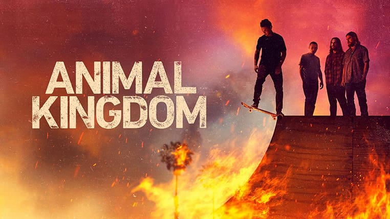 Animal Kingdom op Netflix kijken Zo kijk je Animal Kingdom op Netflix