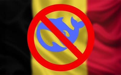 België verbiedt gebruik van DeepSeek voor overheidspersoneel