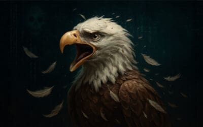 Freedom Chat onthult telefoonnummers en PIN‑codes van gebruikers