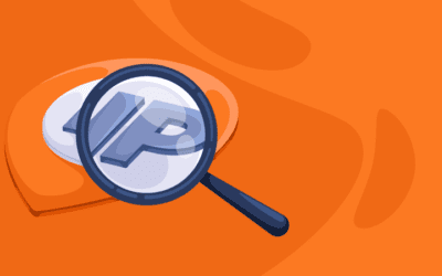 We hebben onze eigen IP-checker gelanceerd